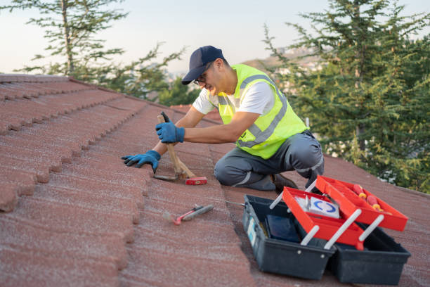 Best Roof Gutter Cleaning  in Erma, NJ
